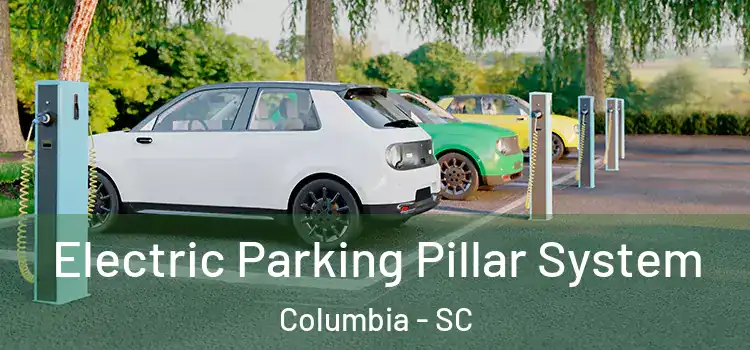 Electric Parking Pillar System Columbia - SC