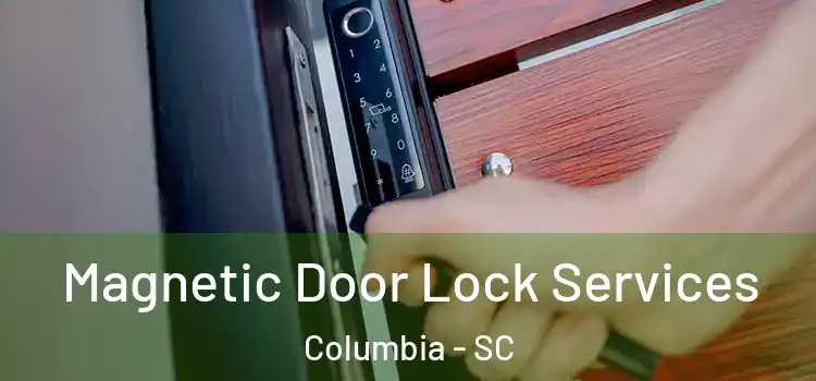 Magnetic Door Lock Services Columbia - SC